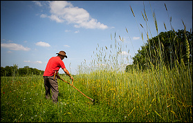 Mark Lord Photograph