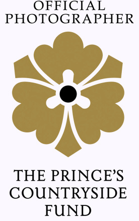 Official Photographer for The Prince's Countryside Fund