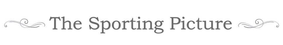 The Sporting Picture